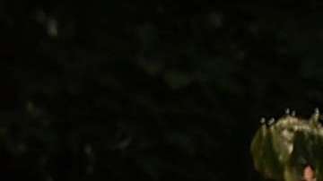 La Primera Dama no se quita los tacones ni para la jardinería.