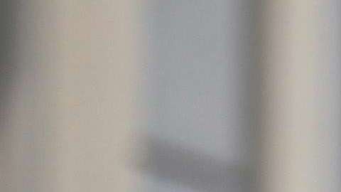 Los estudiantes pueden ser contratados luego de sus prácticas profesionales.