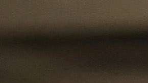 Al transferir casos de una oficina a otra, USCIS busca equilibrar su carga de trabajo.