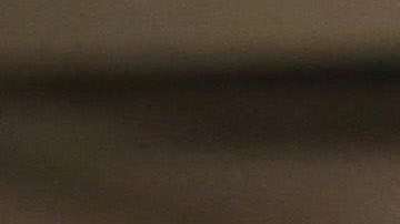 Al transferir casos de una oficina a otra, USCIS busca equilibrar su carga de trabajo.