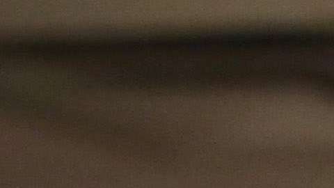 Al transferir casos de una oficina a otra, USCIS busca equilibrar su carga de trabajo.