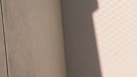 Decenas de niños y adolescentes están encerrados en cárceles migratorias.