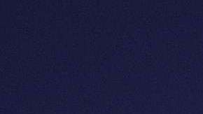 Los demócratas Bernie Sanders, Joe Biden y Elizabeth Warren derrotarían a Trump en 2020