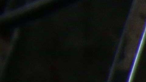 Un peligroso virus se desarrolla en aves de corral en China.