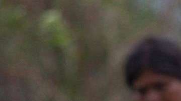 Mujeres trabajan en un campo de amapolas en el estado de Guerrero, México.