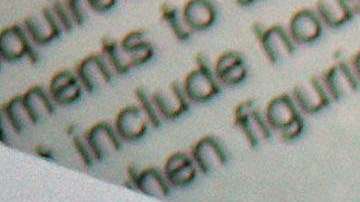 Todos los inmigrantes deben pagar impuestos.