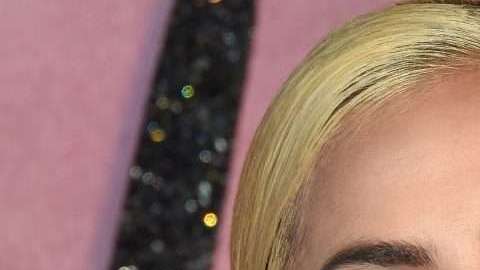 Lady Gaga posó desnuda.