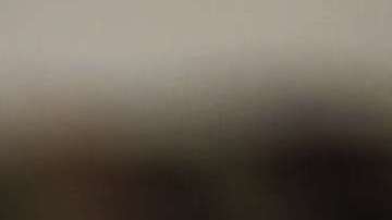 El dólar logró recuperarse.