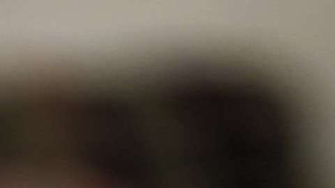 El dólar logró recuperarse.