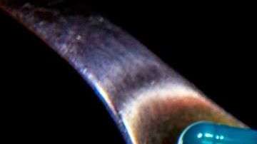 Siempre hay que consultar qué tomamos y llevar un registro de eso.