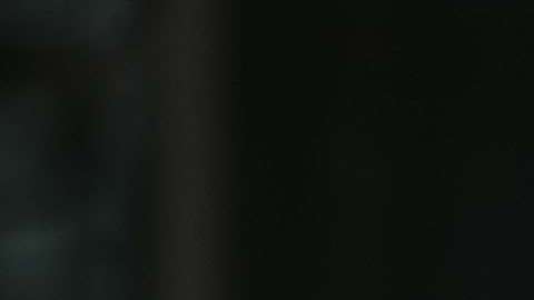 El presidente Trump también llamó "perra" la exasesora Omarosa Manigault Newman.