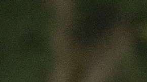 La pareja obtuvo su "green card" por petición familiar.