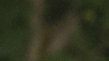 La pareja obtuvo su "green card" por petición familiar.