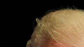 gettyimages-73084315_011 (1)