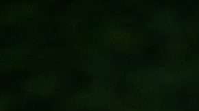 El escocés Paul McGowan jugó con el Dundee bajo libertad condicional. (Foto: Mark Runnacles/Getty Images)