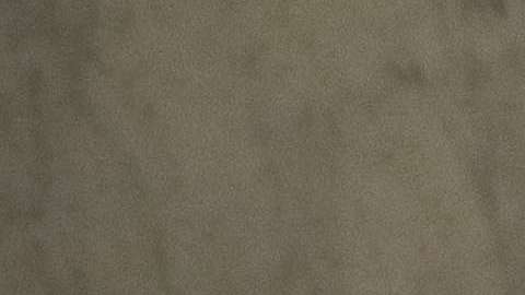 El senador McCain apoyó una reforma migratoria integral.