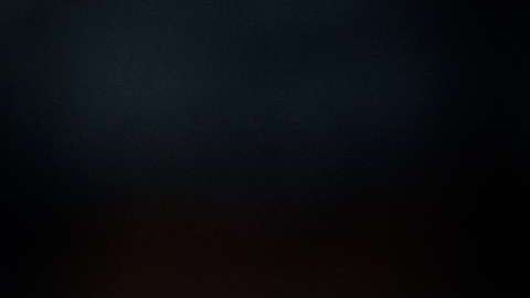 La primera dama Melania Trump.