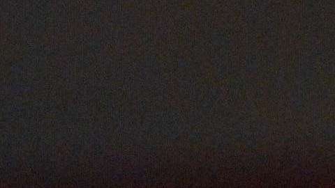 El senador John McCain.