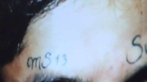 La NYPD mantiene una cruzada contra los miembros de la banda MS-13 en Nueva York.