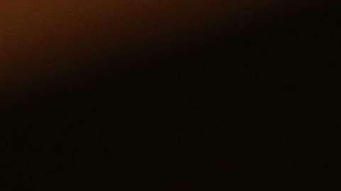 El senador John McCain.