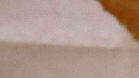 Así como algunos alimentos aceleran el metabolismo, otros lo ralentizan.