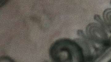 El dólar registró pérdidas.