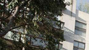 Miles de edificios quedaron dañados tras el terremoto que sacudió México.