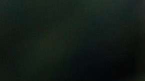 Animals Of Wuppertal Zoo