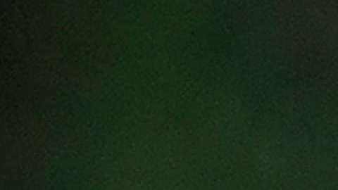 Trump retó al gobernador de Nueva York, Andrew Cuomo, a enfrentarse a él por la Presidencia