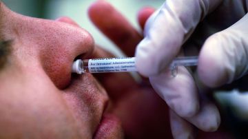 Este año, los CDC sí recomiendan la vacuna nasal contra el flu.