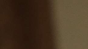 En marzo pasado, Trump condicionó su plan  tarifario a las negociaciones actuales de NAFTA