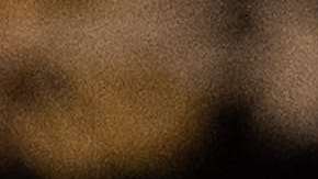 El presidente Trump no quiere oponente en su partido.