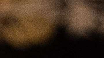 El presidente Trump no quiere oponente en su partido.