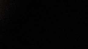 El presidente Donald Trump.