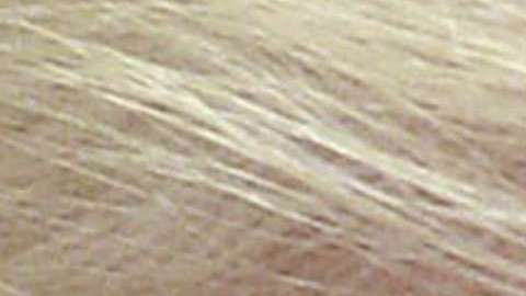 Las salidas en falso de Trump en Twitter podrían costarle caro