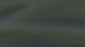 Un niño y un padre son detenidos por agentes de la Patrulla Fronteriza cerca de la frontera.