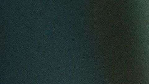 Donald Trump, presidente de Los Estados Unidos.