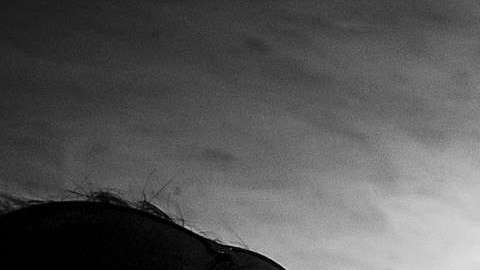 El presidente electo de México, Andrés Manuel López Obrador.