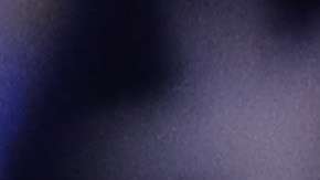 El presidente Trump.