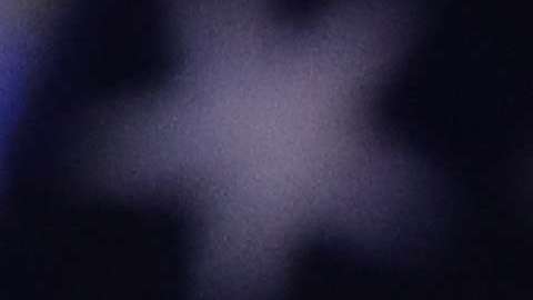 El presidente Trump.