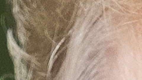 Crece el entusiasmo en votantes demócratas por las elecciones al Congreso