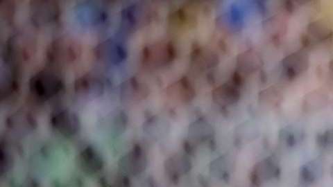 Andrés Guardado prefirió no jugar en la MLS por el Mundial de Rusia 2018