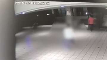 El asesinato se reportó en el hospital Hima San Pablo de Caguas.