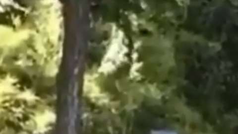 El incidente fue captado en video.