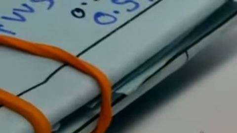 La hormiga corrió con la piedra preciosa.