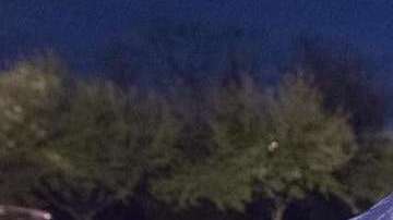 ICE avanza con sus auditorías y operativos espacios de trabajo.