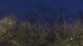 John Jacobs Olivas empezará su juicio este 9 de Octubre