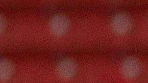 Veracruz recibe a Chivas en duelo de la jornada 5 de la Liga MX