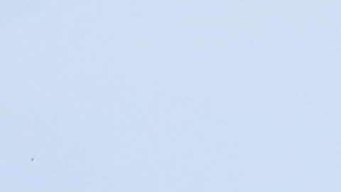 Pumas recibe a Queréraro en duelo correspondiente a la fecha 6 del Apertura 2018