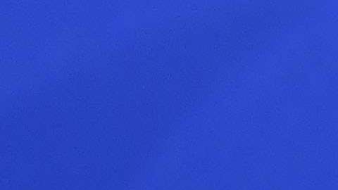 Héctor Herrera, mediocampista mexicano del FC Porto de Portugal